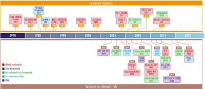 Mucosal Vaccination: A Promising Alternative Against Flaviviruses